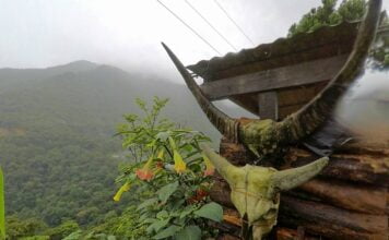 കൊനോമ : ചരിത്ര പുസ്തകങ്ങളിലെ ഒറ്റവരി മറവികൾ !!